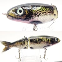 CreekProwler (Trout)