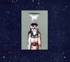 Piercing "Kites Of Nephthys" CD Digipak (Input Error)