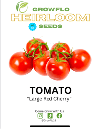 Organic Large Cherry Tomato