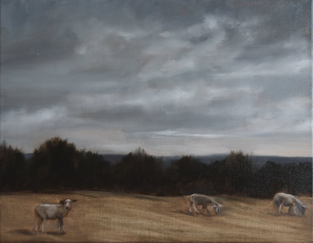 Image of Moutons à la campagne