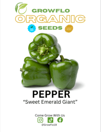 Organic Sweet Pepper Seeds