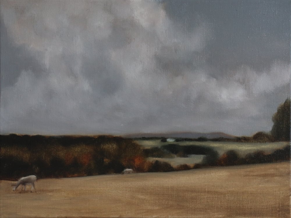 Image of Automne à la campagne