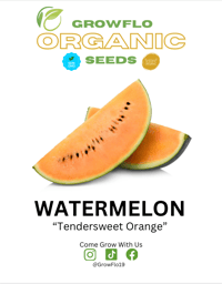Organic Orange Watermelon