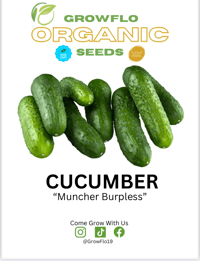Organic Cucumbers