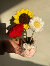 Image 2 of Crochet Flower Pots
