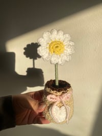 Image 5 of Crochet Flower Pots