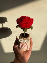 Image 4 of Crochet Flower Pots