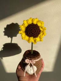 Image 3 of Crochet Flower Pots