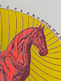 Image 3 of Horse Riso Print