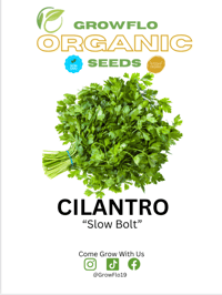 Organic Cilantro
