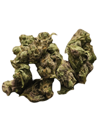 PEANUT BUTTER & JELLY  (THC 19%-23) 