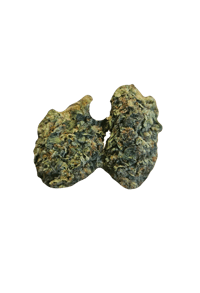 OBAMA RUNTZ  (THC 27%) HYBRID 