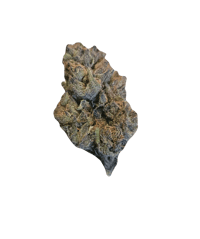 GELATO 45 (THC 19%) HYBRID 