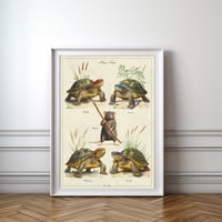 Image 2 of Ninjus Turtlus - Fine art print