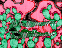 Image 1 of Cuzzo croc