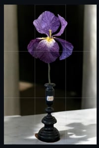 Iris en papier mâché monte sur socle bois noirci 