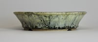 Image 3 of Round bonsai pot in a cream and green matte glaze. D.184mm