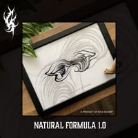 Image 3 of NATURAL FORMULA 1.0 FULL BUNDLE