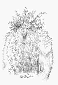 Woodwose