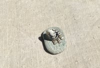 Image 5 of Niva Earring