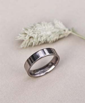 Image of 18ct white gold 5mm matte finish flat court ring