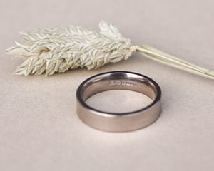 Image of 18ct white gold 5mm matte finish flat court ring