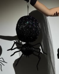 Image 5 of Spider