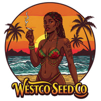 Image 1 of Island OG