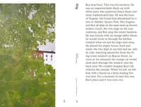 Image 3 of *NEW* Paintings with Stories