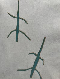 Image 2 of Stick Insects Bag 