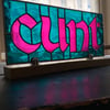 Pink & Teal C**t