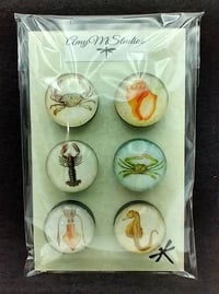 Image 3 of Magnets - 12 Variants 