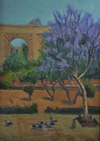 Jacaranda Tree