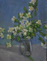 Philadelphus