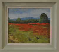 Poppyfield I
