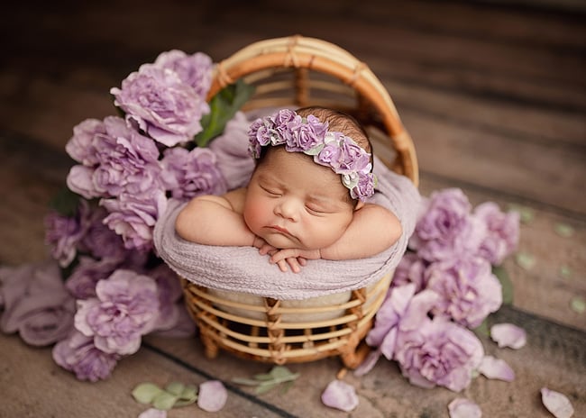 STANDARD Newborn Session