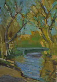 Dodder in Spring