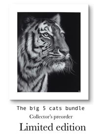 The big 5 Cats bundle-Collector’s Preorder (limited edition)