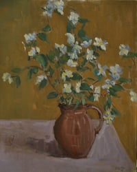 Philadelphus Gold
