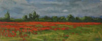 Poppyfield IV