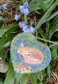 Bluebell fox