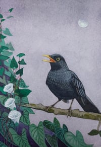 Song at dusk