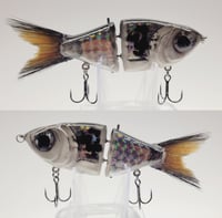 STG (Holographic Shad)