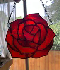 Image 1 of Rose 1