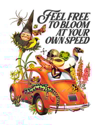Feel Free