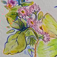 Image 4 of Custom floriography illustration