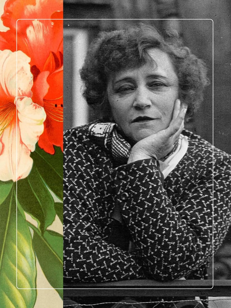 Image of COLETTE ⼺1