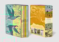 Angela Harding Seasonal Boxset: Spring Unfurled, Summer’s Hum, Falling into Autumn & Winter's Song