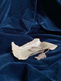 Image 1 of Torn Ice Dish 