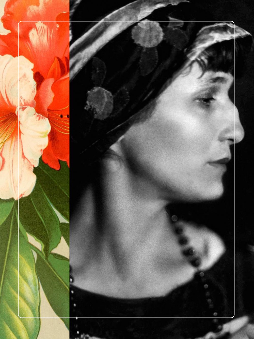 Image of AKHMATOVA